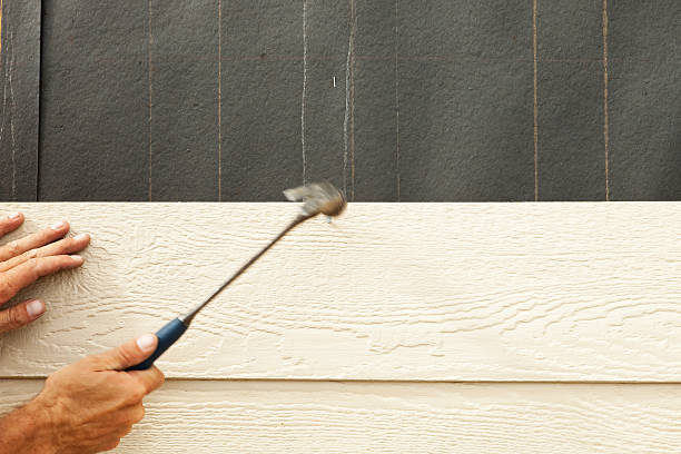 Best Vinyl Siding Installation  in Elsmere, KY